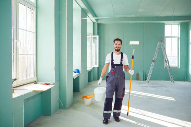 Reliable Orono, MN Mold Removal Solutions