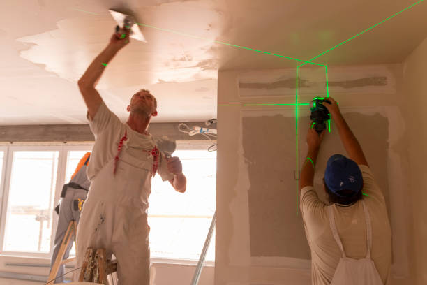 Best Commercial Mold Inspection  in Orono, MN